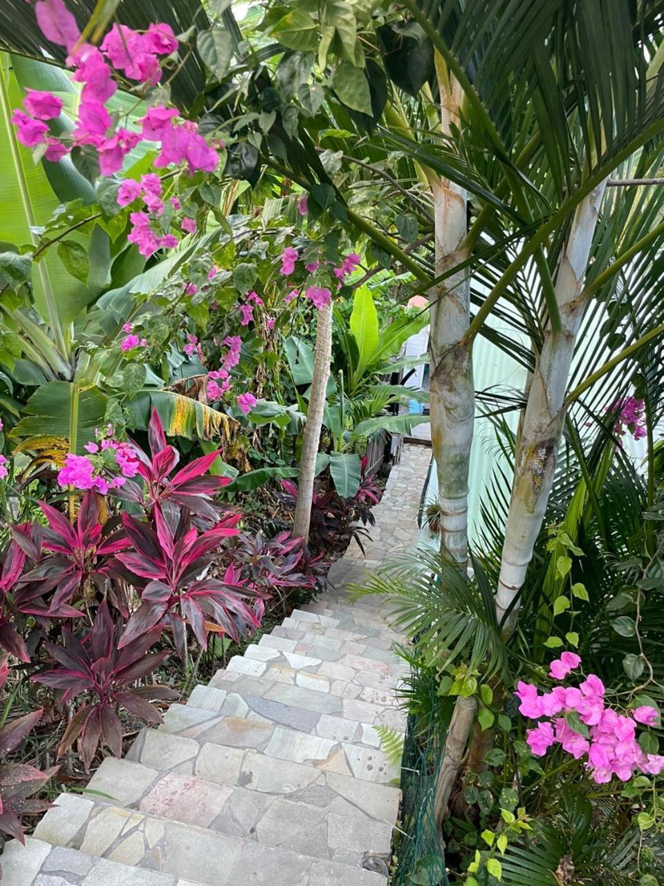 La Casita Ilohe Villa Riviere-Salee Buitenkant foto